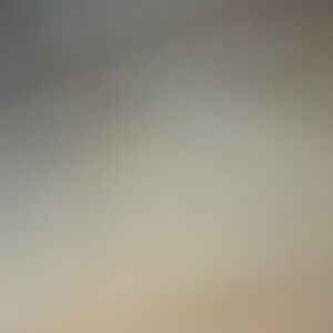 Rugby Nicotine Gum and Patch Set